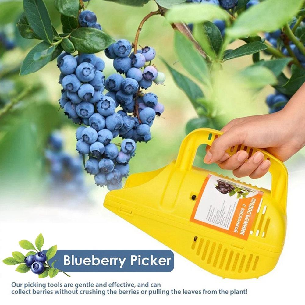 Gardening Tools Must Haves - Gemakkelijk te hanteren bosbesoogapparaat met kamtanden,