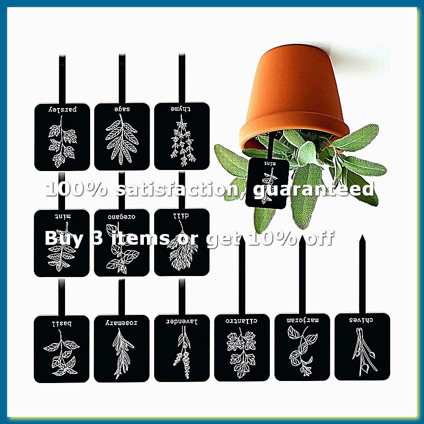 Gardening Tools Names - 24 stuks acryl plantenlabelborden 12 stijlen