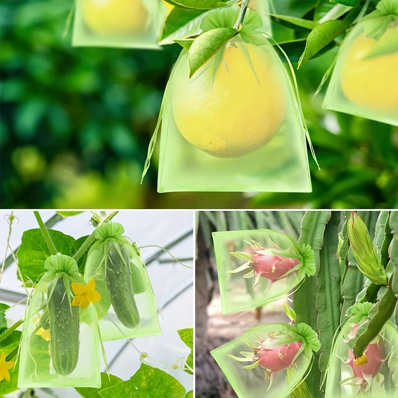100 stuks groene beschermende  - Grow Bags recensie en prijs
