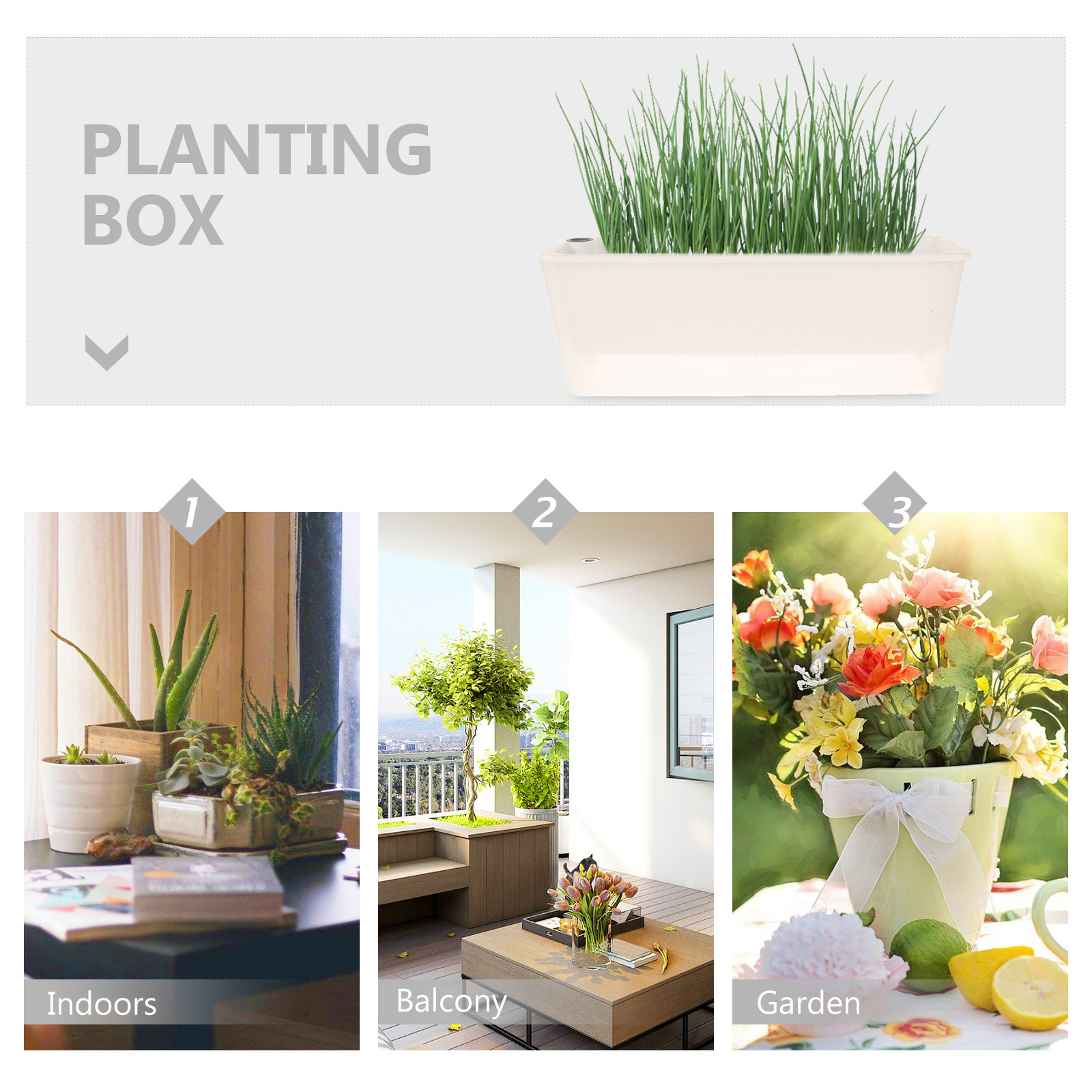 Zelfwaterende bloembak voor op - Self-Watering Planter recensie en prijs