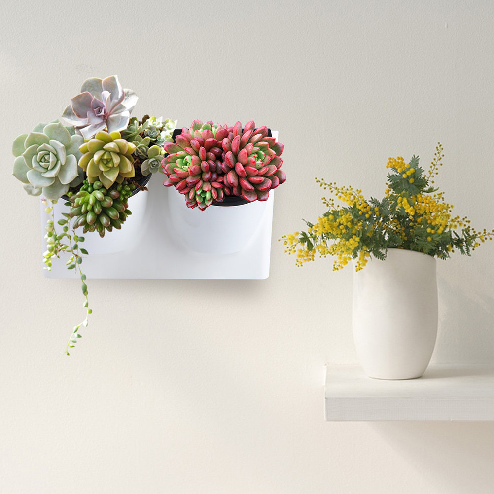 Zelfwaterende bloempot van pla - Self-Watering Planter recensie en prijs