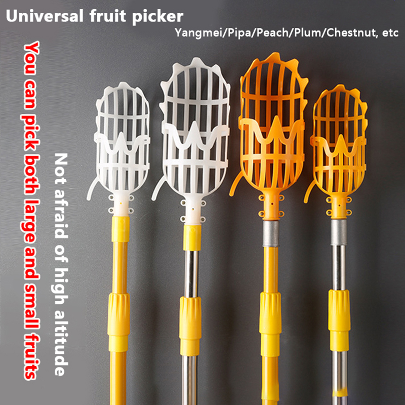 Plukken Loquat Plukken Bayberr - Gardening Tools Rack recensie en prijs