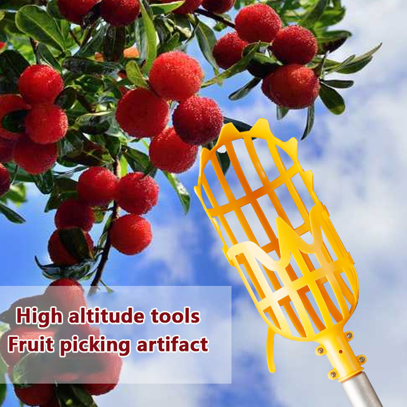 Plukken Loquat Plukken Bayberr - Gardening Tools Rack recensie en prijs