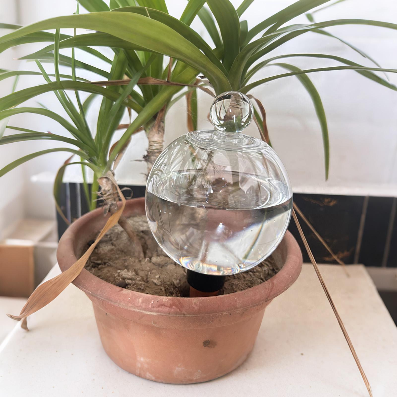 Plantenbewateringsbollen 4 stu - Drip Irrigation Kit recensie en prijs