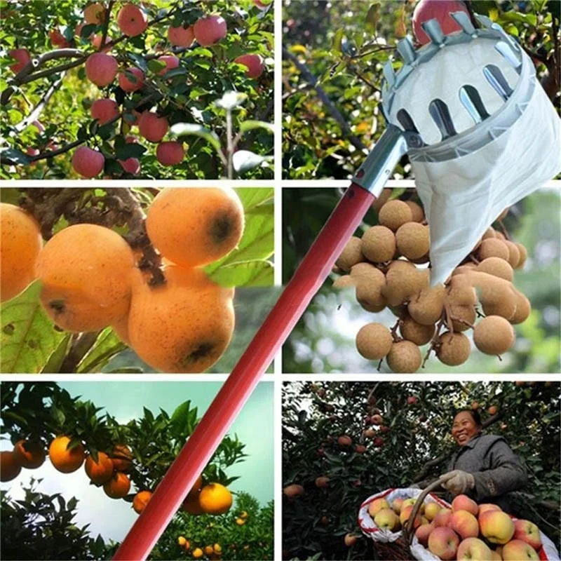 Tuinfruitplukker, telescopisch - Gardening Tools Scissors recensie en prijs