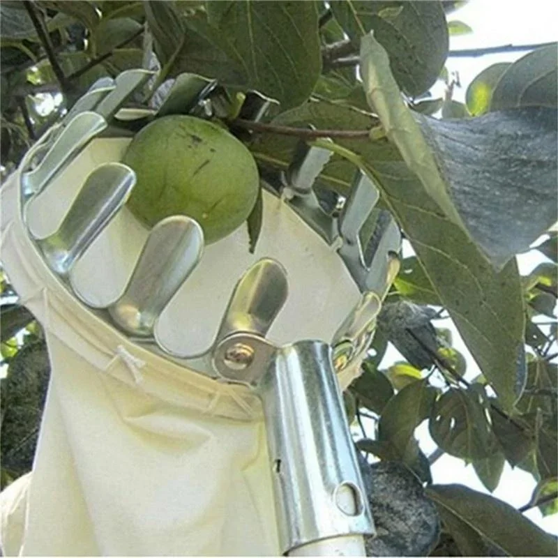 Tuinfruitplukker, telescopisch - Gardening Tools Scissors recensie en prijs