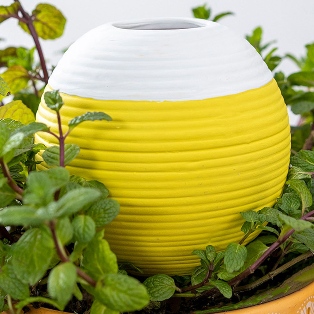 Automatische plantenbewatering - Gardening Tools Must Haves recensie en prijs