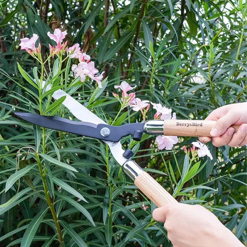 Draagbare snoeischaar van hoog - Gardening Tools Scissors recensie en prijs