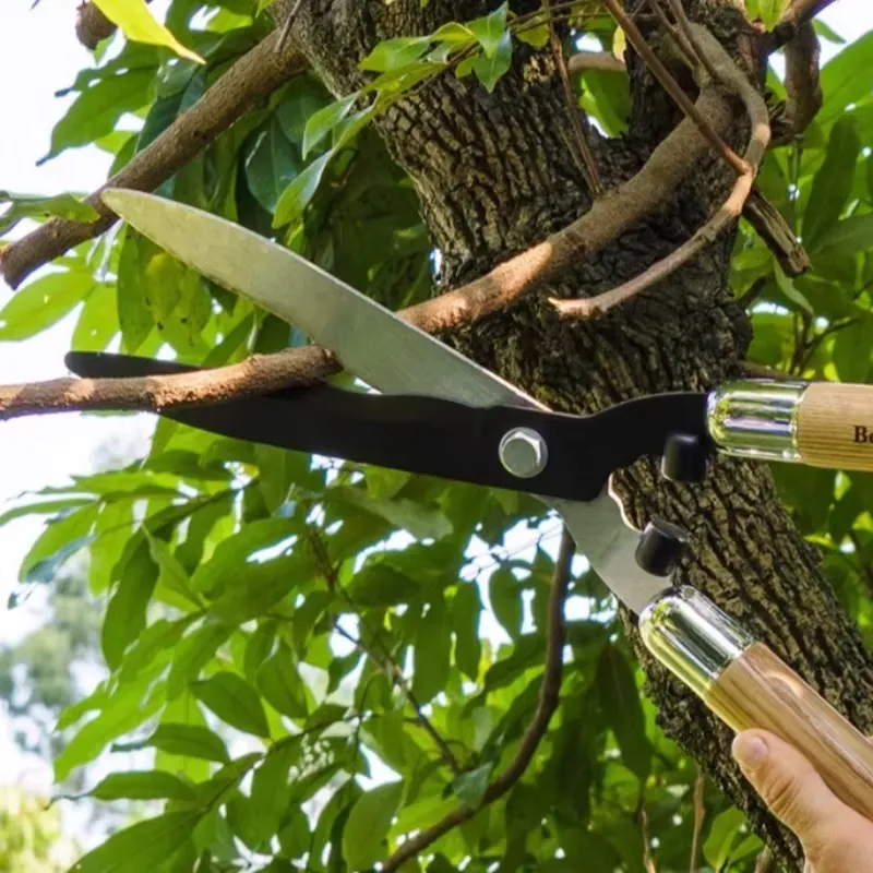 Draagbare snoeischaar van hoog - Gardening Tools Scissors recensie en prijs