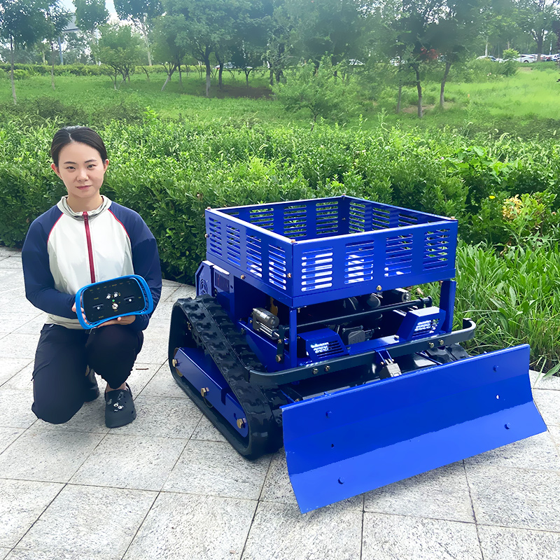 Op maat gemaakte grasmaaier me - Gardening Tools China recensie en prijs