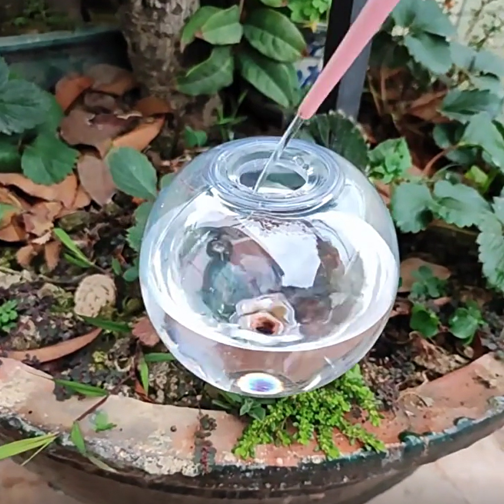 500ML Zelfwatergevende Globes  - Self-Watering Planter recensie en prijs
