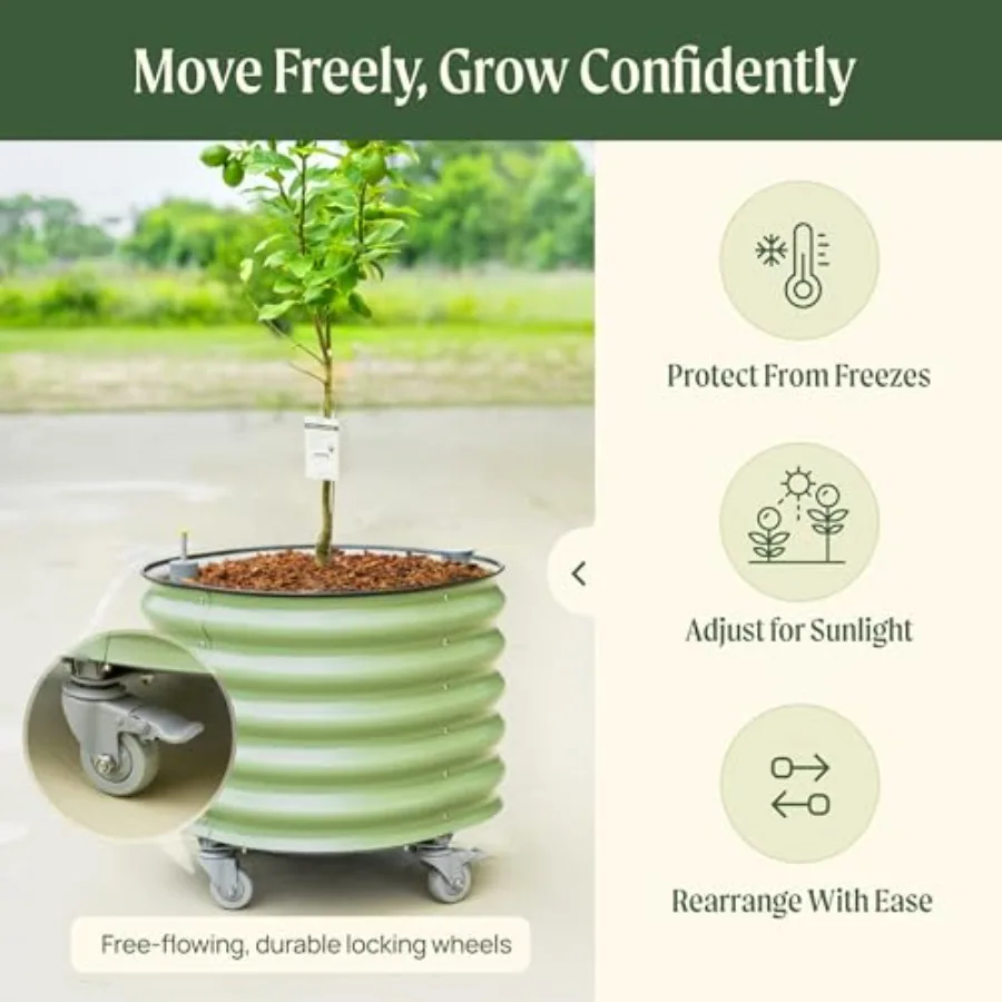 Rollende citrusboomplantenbak  - Self-Watering Planter recensie en prijs