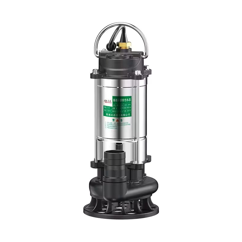 Rvs Dompelpomp 220V Agrarisch  - Gardening Tools China recensie en prijs