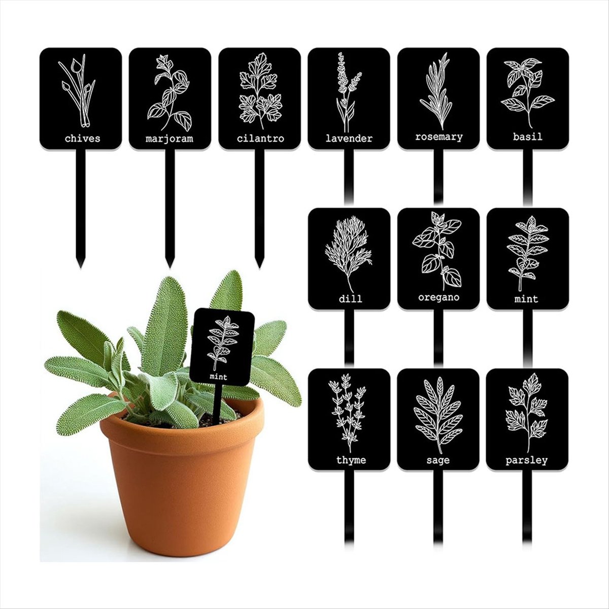 AA14 24 stuks acryl plantenlab - Gardening Tools Names recensie en prijs